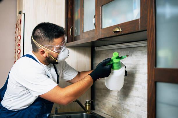 Best Residential Pest Control  in Lakewood, NY