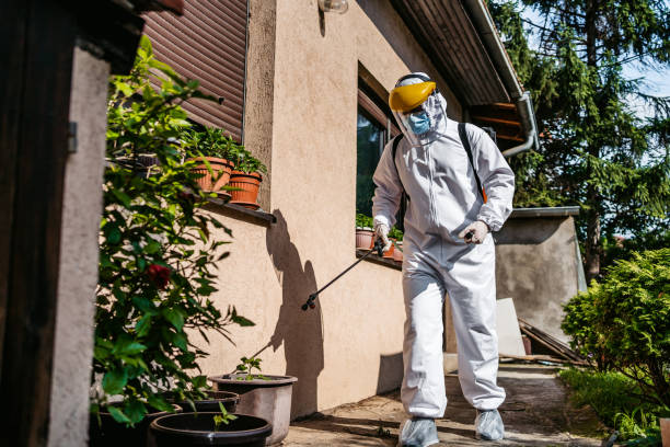 Best Pest Control for Restaurants  in Lakewood, NY