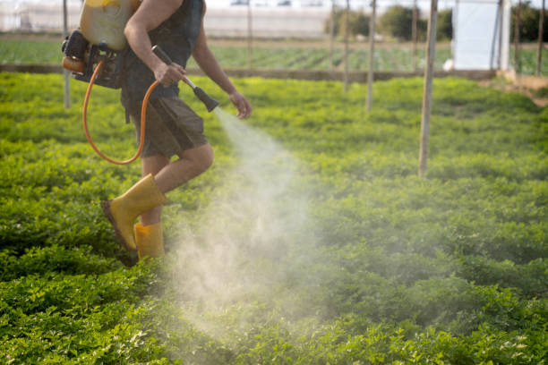 Best Best Pest Control Companies  in Lakewood, NY