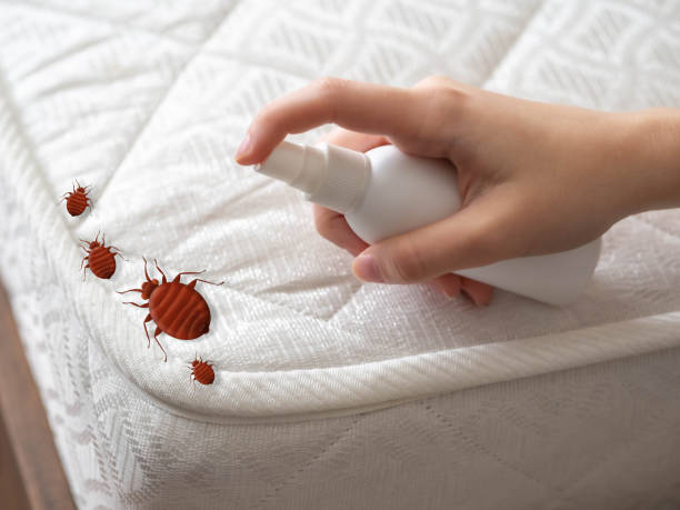 Best Commercial Pest Control Services  in Lakewood, NY